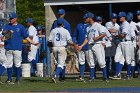 Baseball vs MIT  Wheaton College Baseball vs MIT during Semi final game of the NEWMAC Championship hosted by Wheaton. - (Photo by Keith Nordstrom) : Wheaton, baseball, NEWMAC